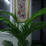 Hotel Bonita